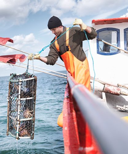 Expert marine services for businesses throughout the UK