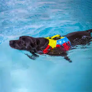 Spinlock FIDO Flotation for dogs