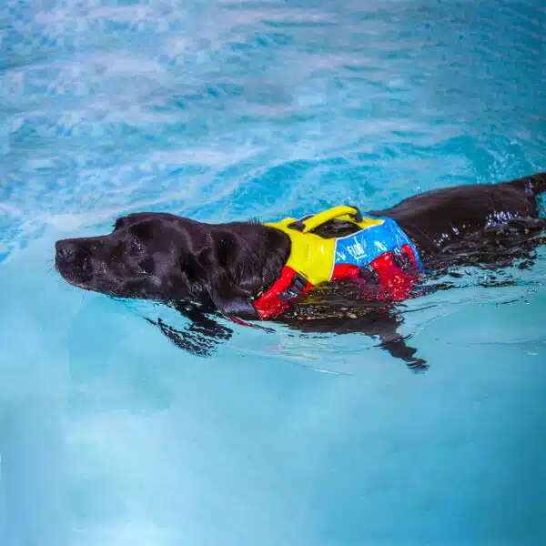 Spinlock FIDO Flotation for dogs